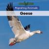 Cover image of Geese