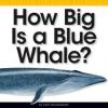 Cover image of How big is a blue whale?