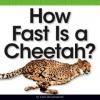Cover image of How fast is a cheetah?