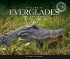 Cover image of Welcome to Everglades National Park