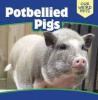 Cover image of Potbellied pigs