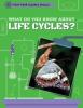 Cover image of What do you know about life cycles?