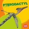 Cover image of Pterodactyl