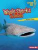 Cover image of Whale sharks in action