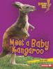 Cover image of Meet a baby kangaroo