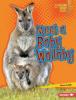 Cover image of Meet a baby wallaby