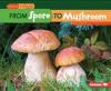 Cover image of From spore to mushroom