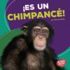 Cover image of Es un chimpance!