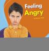 Cover image of Feeling angry