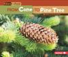 Cover image of From cone to pine tree