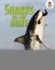 Cover image of Sharks on the hunt