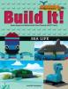 Cover image of Build it!