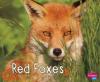 Cover image of Red foxes