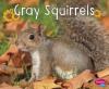 Cover image of Gray squirrels