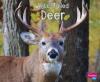 Cover image of White-tailed deer