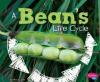 Cover image of A bean's life cycle