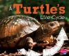 Cover image of A turtle's life cycle