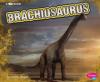 Cover image of Brachiosaurus