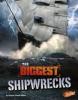 Cover image of The biggest shipwrecks