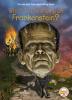 Cover image of What is the story of Frankenstein?