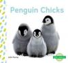 Cover image of Penguin chicks