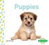 Cover image of Puppies