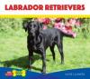 Cover image of Labrador retrievers