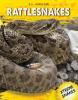 Cover image of Rattlesnakes