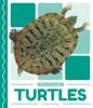 Cover image of Turtles