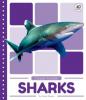 Cover image of Sharks