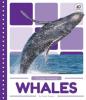 Cover image of Whales