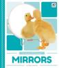 Cover image of Mirrors