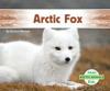 Cover image of Arctic fox