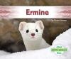 Cover image of Ermine