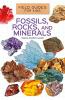 Cover image of Fossils, rocks, and minerals