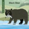 Cover image of Black bear