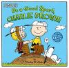 Cover image of Be a good sport, Charlie Brown!