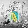 Cover image of It fell from the sky