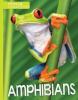 Cover image of Amphibians