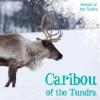 Cover image of Caribou of the tundra