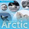 Cover image of Animals in the Arctic