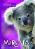 Cover image of Marsupials