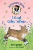 Cover image of A goat called Willow