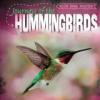 Cover image of Journey of the hummingbirds