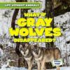 Cover image of What if gray wolves disappeared?