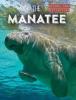 Cover image of The manatee