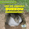 Cover image of Why do animals burrow underground?