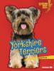 Cover image of Yorkshire terriers