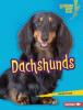 Cover image of Dachshunds