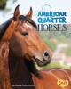 Cover image of American quarter horses